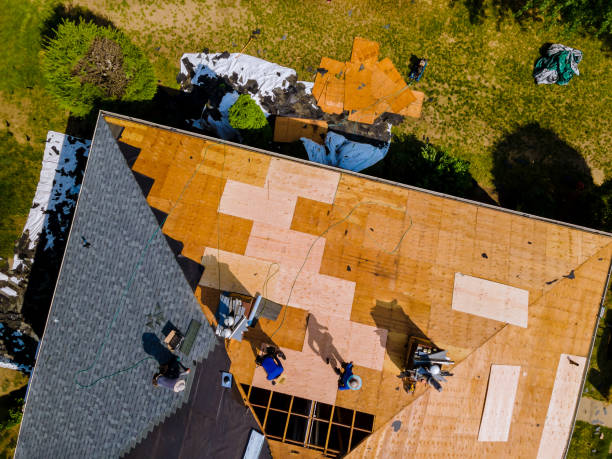 Quick and Trustworthy Emergency Roof Repair Services in Hamilton, AL