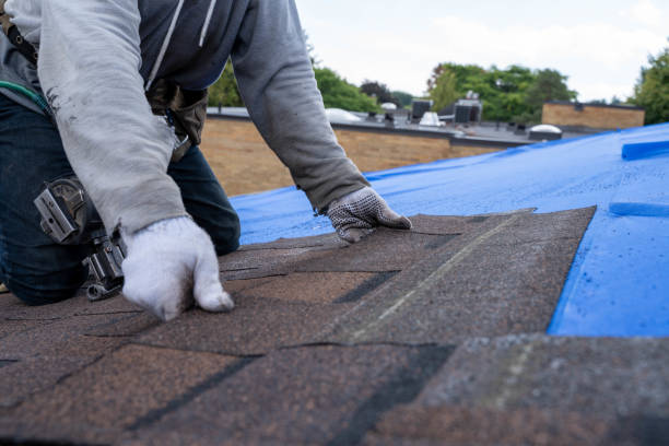 Trusted Hamilton, AL Roofing Contractor Experts