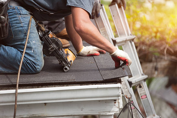Best Gutter Installation and Roofing  in Hamilton, AL