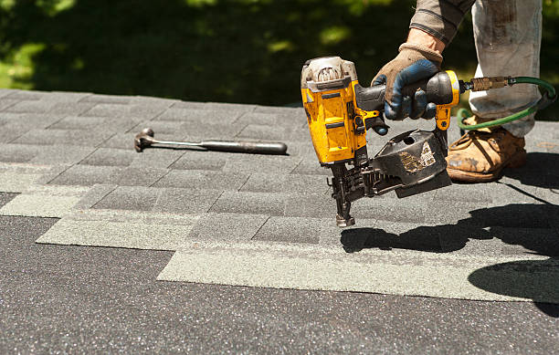 Best Roof Gutter Cleaning  in Hamilton, AL