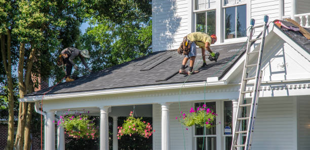 Roof Gutter Cleaning in Hamilton, AL
