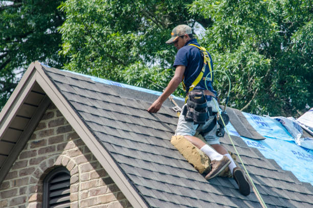 Best Roofing Contractor Near Me  in Hamilton, AL